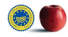 Chronione Oznaczenie Geograficzne jabłek sposobem wybicia się na konkurencyjnym rynku