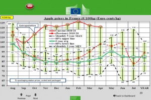  Ceny jabłek deserowych we Francji - kwiecień 2021 roku