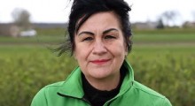 Zalecenia ochrony na plantacji porzeczek - Barbara Błaszczyńska, Agrosimex