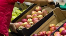 W sklepach najtańsze są polskie jabłka, najdroższe importowane maliny 