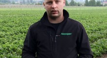 Ochrona i nawożenie truskawek – Tomasz Domański, Agrosimex