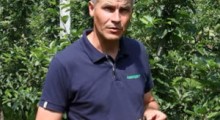 Komunikat sadowniczy - 18.06.2021 - Robert Binkiewicz, Agrosimex