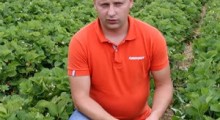 Ochrona i nawożenie truskawek pomiędzy zbiorami  – Tomasz Domański