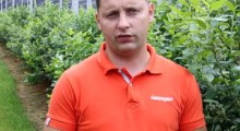 Ochrona i budowanie jakości owoców borówki – Tomasz Domański