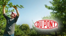 List do Sadowników stosujących środki ochrony roślin firmy DuPont 