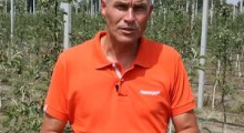 Komunikat sadowniczy - 16.07.2021 - Robert Binkiewicz, Agrosimex