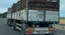 Sandomierscy sadownicy: niskie ceny jabłek to powtórka z 2018 roku