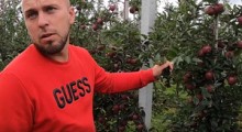 Efekt zimowego cięcia drzew - Jeromine (Red Delicious) 