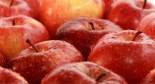 Jabłka wzmacniają odporność