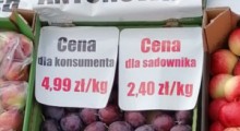 Markety zapowiadają kolejne obniżki cen jabłek ! Sadownicy mówią DOŚĆ ! 