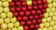 Rośnie spożycie jabłek w Polsce 