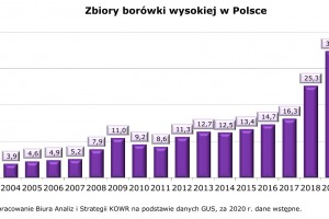  Zbiory borówki wysokiej w Polsce w latach 2004-2020
