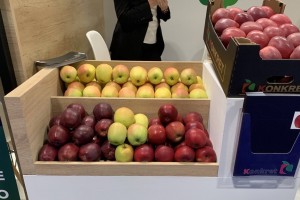  Fruit Attraction 2021 - Poland - foto 2