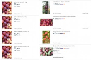  Ceny jabłek deserowych - allegro - 2021.10.07 - 1
