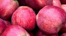 Jabłka obniżają cholesterol i działają jak statyny