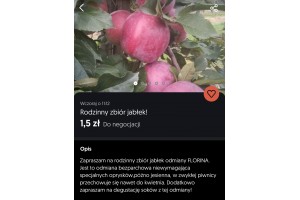  Rodzinny zbiór jabłek - 1,5 zł
