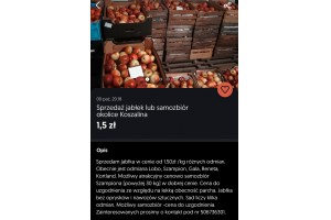  Sprzedaż jabłek lub samozbiór okolice Koszalina - 1,5 zł