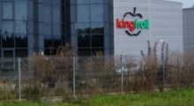 Cena wywoławcza za upadłą grupę King Fruit spadła do 28 mln zł 