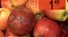Skandalicznie niskie ceny jabłek i negatywne promocje ! 