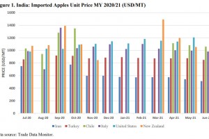  Indie: Ceny importowanych jabłek w sezonie 2020/2021