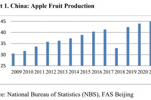  Produkcja jabłek w Chinach od 2009 do 2021 roku