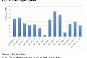  Eksport jabłek z Chin od sezonu 2008/2009 do 2021/2022