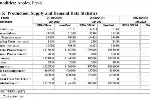  Zbiory, konsumpcja, eksport, import jabłek - Chile sezon 2021/2022