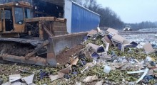 Polskie i belgijskie gruszki zniszczone w Rosji 