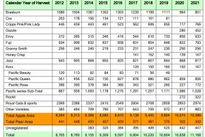  Odmiany jabłek w Nowej Zelandii w latach 2012 do 2021. 