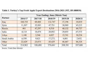  Eksport jabłek z Turcji od sezonu 2016/2017 do 2020/2021