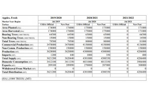  Prdukcja, konsumpcja, eksport jabłek - Turcja 2021 r. 
