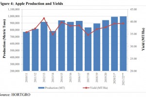  Produkcja jabłek w Południowej Afryce od 2010/11 do 2021/22