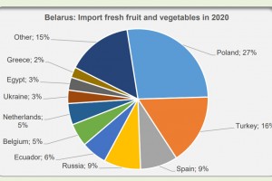  Białoruś: Import świeżych owoców i warzyw w 2020 roku