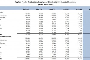  USDA: Światowa produkcja jabłek w sezonie 2021/2022