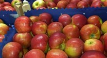 Najlepsze kierunki eksportu jabłek z Polski