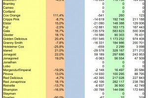  WAPA zapasy jabłek w UE - odmiany - grudzień 2021 r.