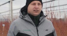 Cięcie zimowe borówek 2022 - Tomasz Domański, Agrosimex