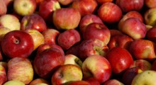 Białoruś wprowadza maksymalne ceny na jabłka