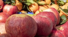 Indie: Nielegalna sprzedaż irańskich jabłek 