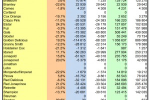  WAPA zapasy jabłek w UE - odmiany - styczeń 2022 r.