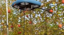 Drony do zbioru jabłek. Czy zastąpią pracowników ? 