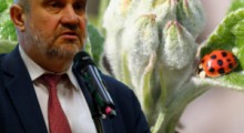 Ardanowski: Rolnictwo może zostać zrujnowane !