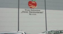 Dawny Owoc Sandomierski wraca do gry. Kupi jabłka od sadowników !? 