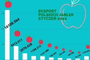  Eksport polskich jabłek styczeń 2022 r. 