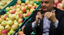 Ceny jabłek będą spadać. Jedynym ratunkiem wycofanie owoców z rynku ! 