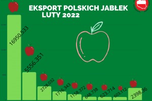  ZSRP: Kierunki eksportu polskich jabłek w lutym