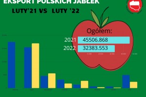  ZSRP: Kierunki eksportu polskich jabłek w lutym