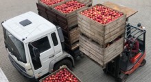 Duże problem z eksportem polskich jabłek ! 