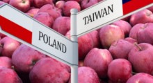 Czy polskie jabłka podbiją Tajwan ? 