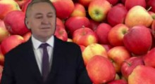 MRiRW przeznaczy 600-700 mln zł na rozwiązanie kryzysu na rynku jabłek !?